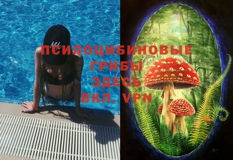 Галлюциногенные грибы Magic Shrooms  кракен зеркало  Свирск 